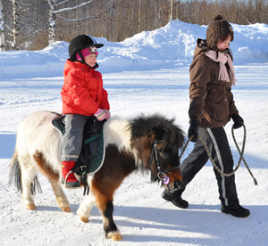 Myr&auml;kk&auml;-tapahtuma, Kangasniemi 25.2.2012